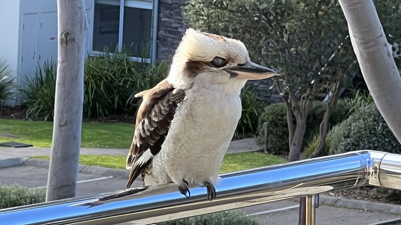 Photo of Others in San Remo