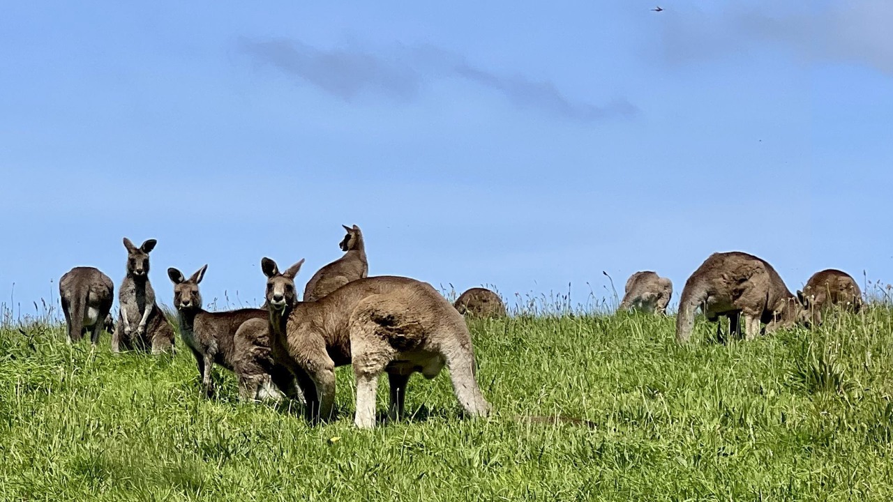 Photo of Others in San Remo