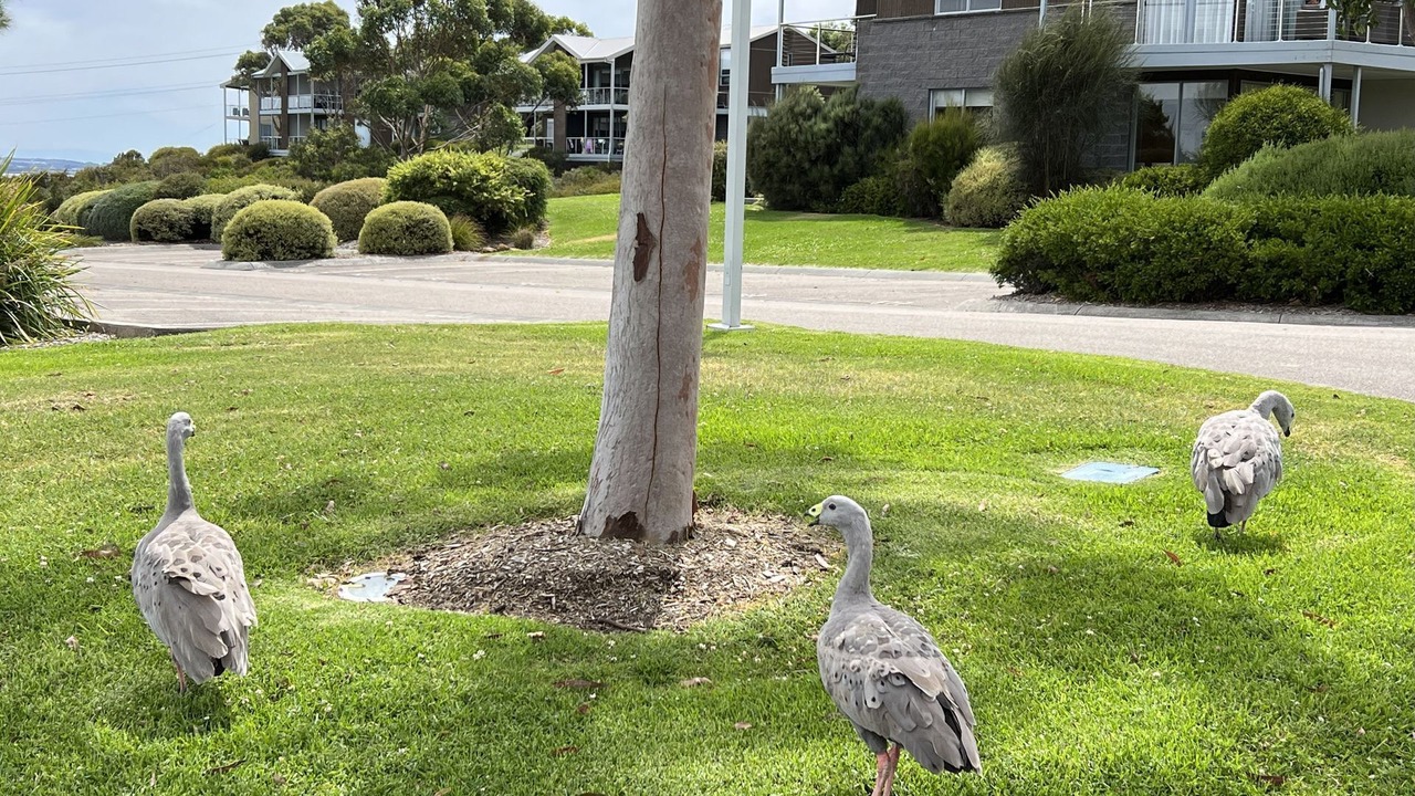 Photo of Outdoor in San Remo