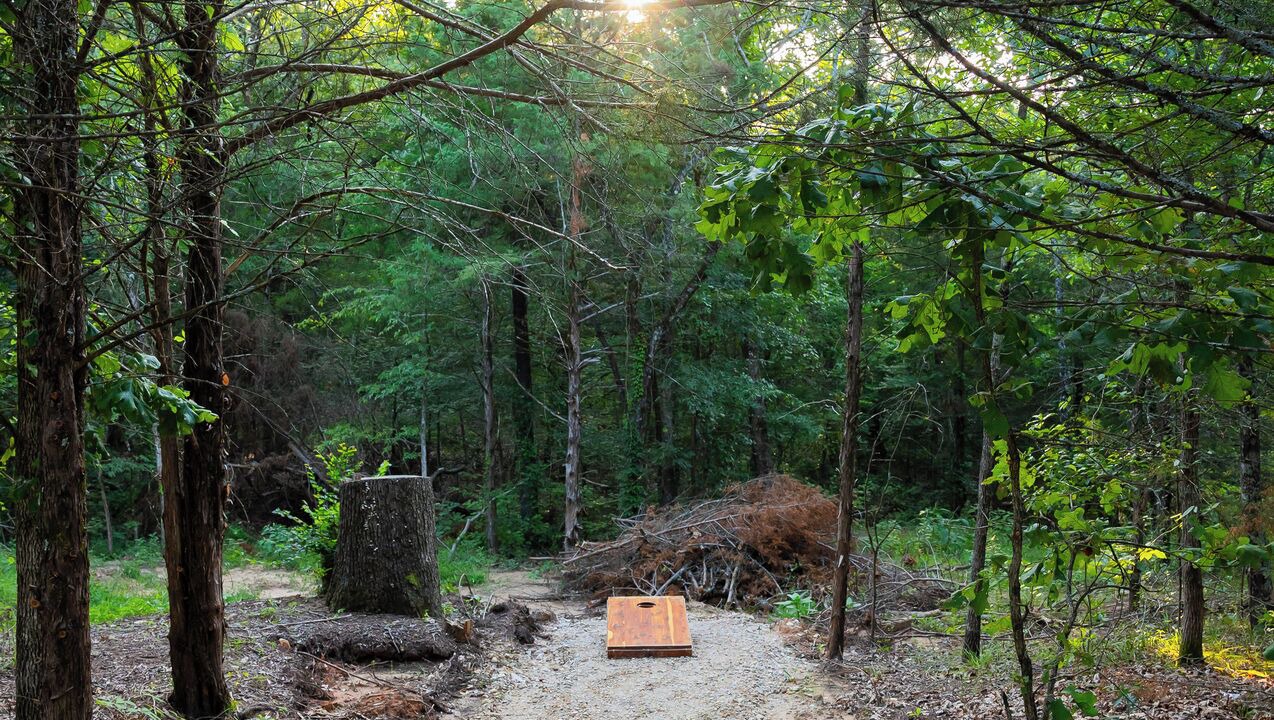 Photo of Others in Honey Grove