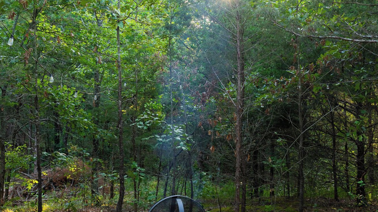 Photo of Others in Honey Grove