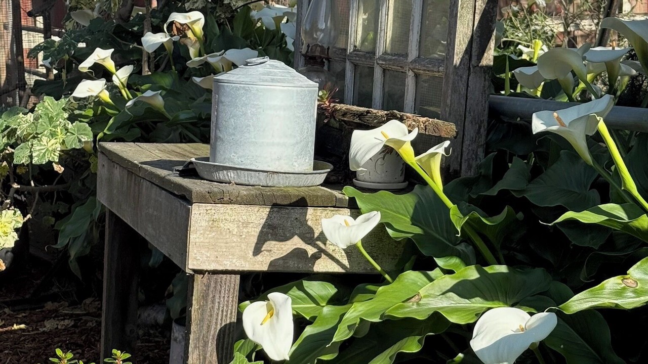Photo of Outdoor in Petaluma