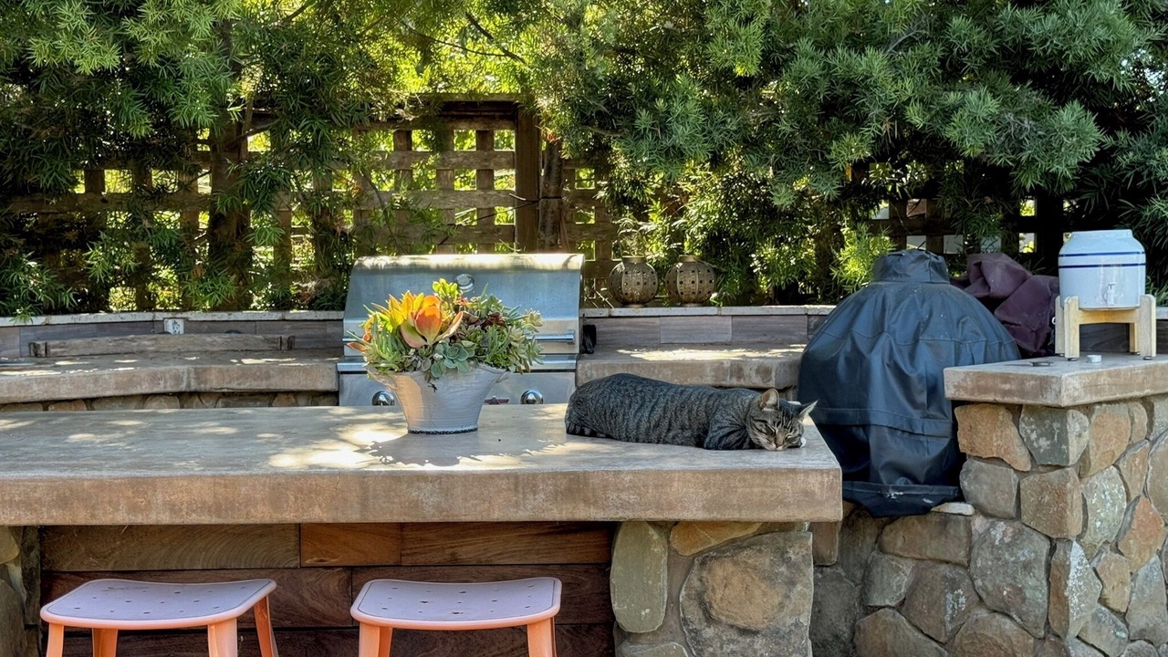Photo of Outdoor in Petaluma