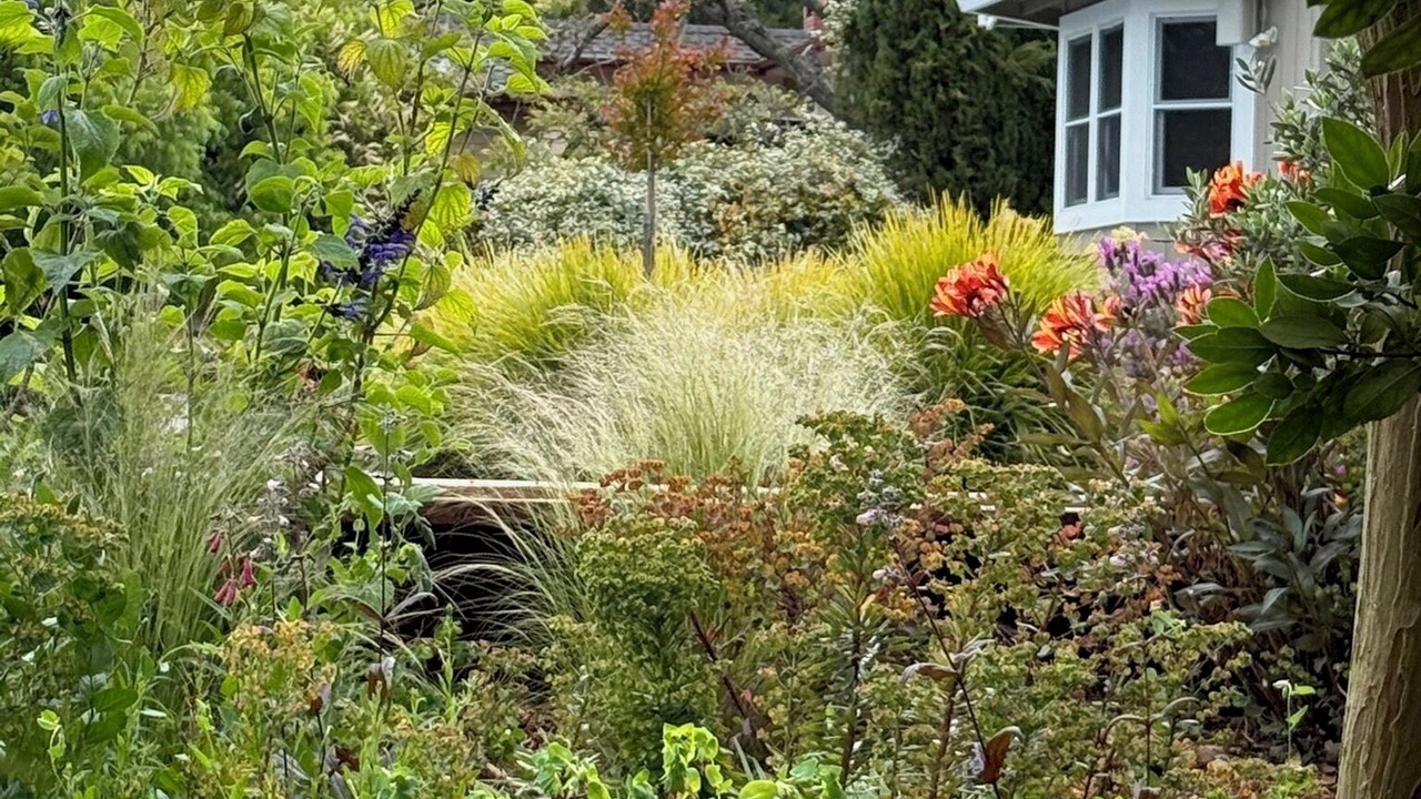 Photo of Outdoor in Petaluma