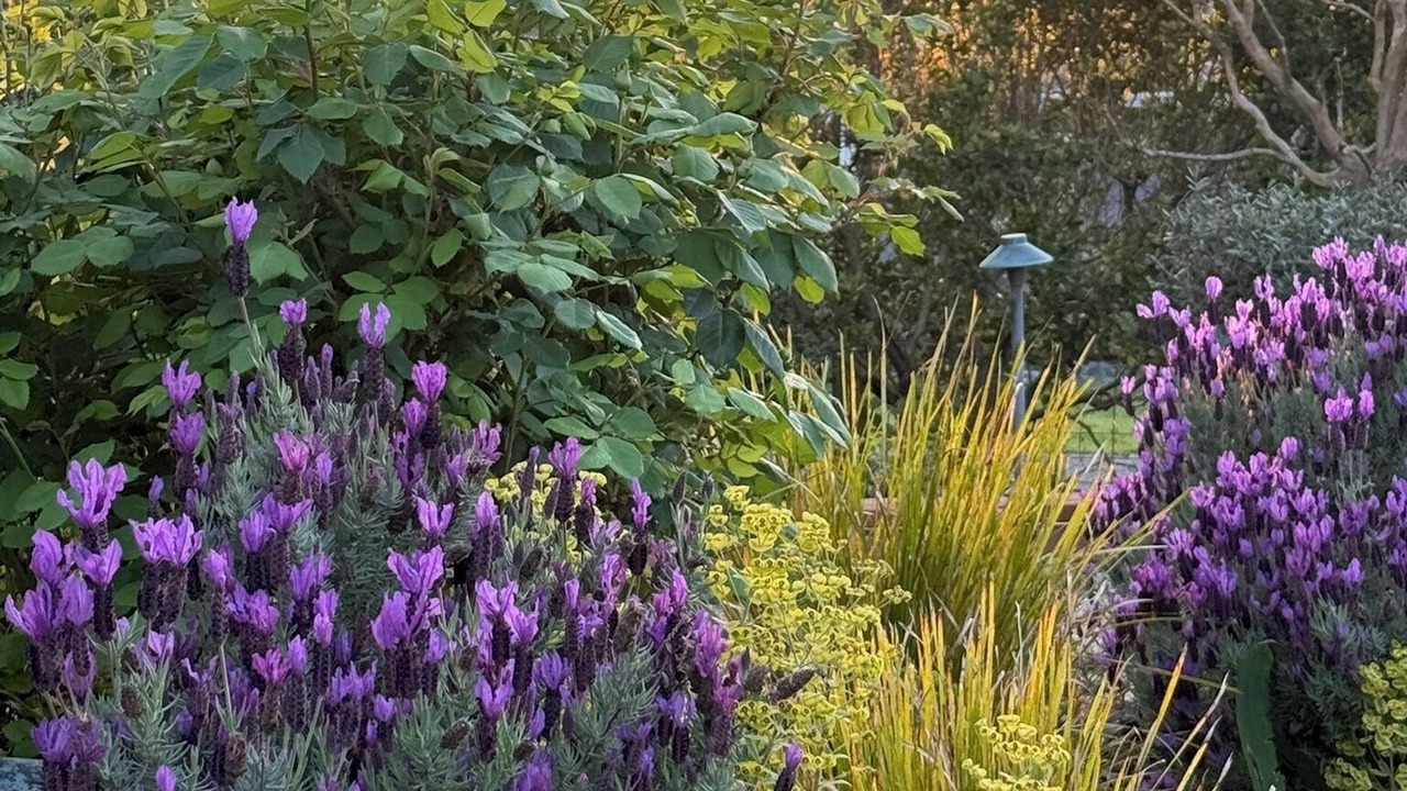 Photo of Outdoor in Petaluma