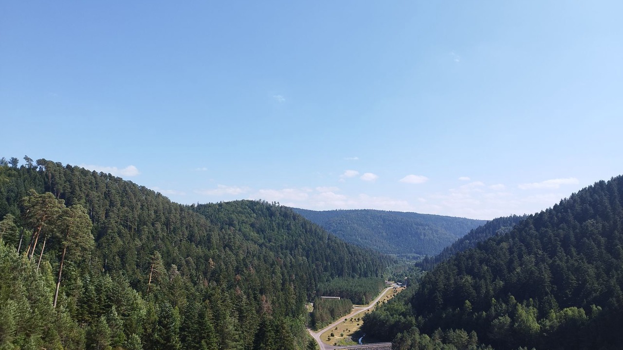 Photo of Others in Moyenmoutier