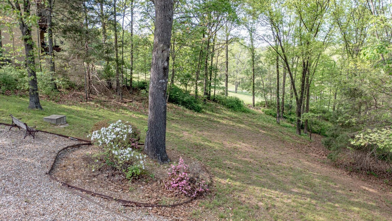 Photo of Outdoor in Bella Vista