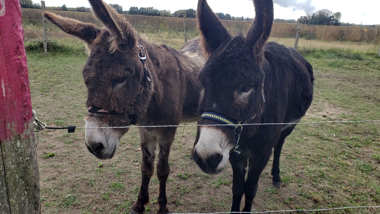 Photo of Others in Restigne