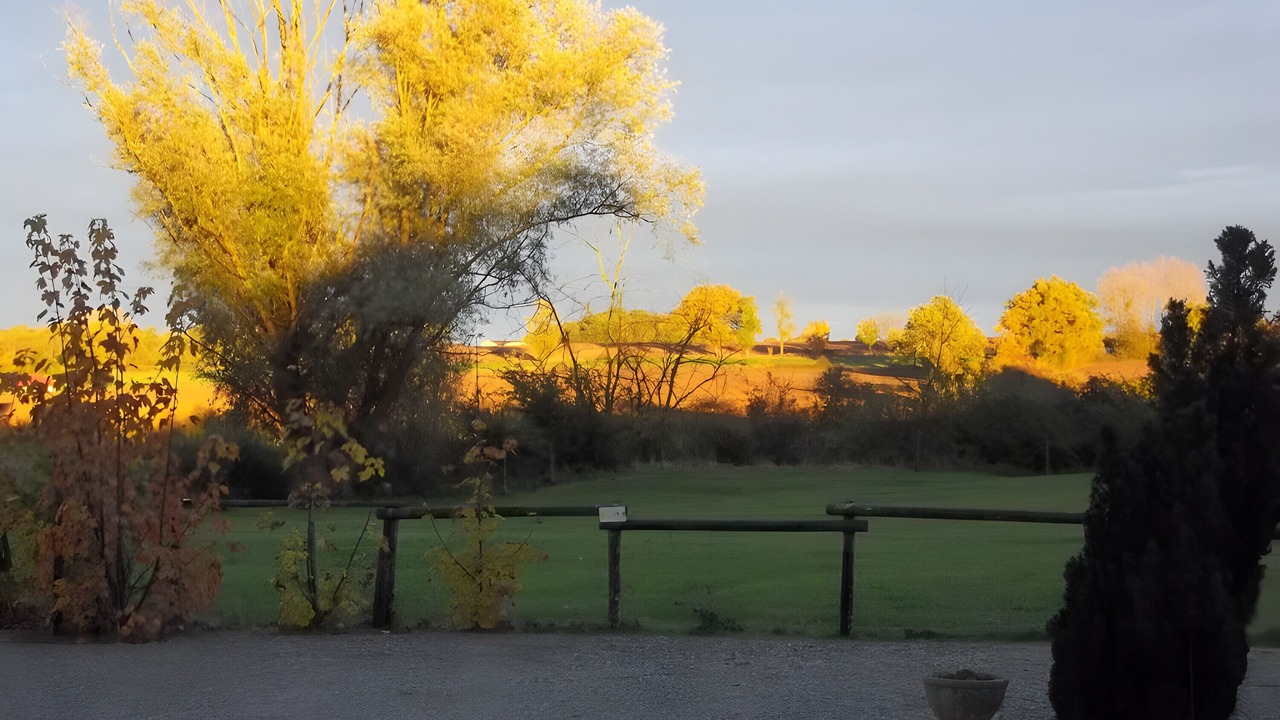 Photo of Others in Salles-en-Toulon