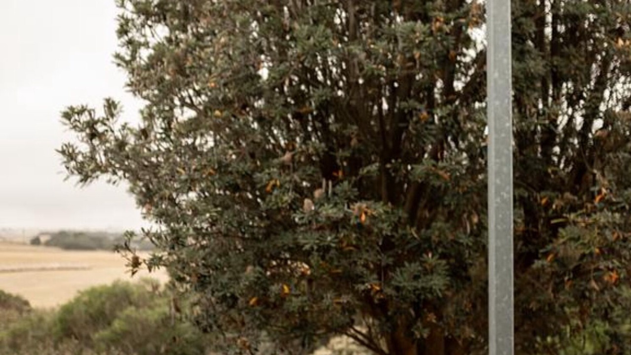 Photo of Outdoor in Kilcunda