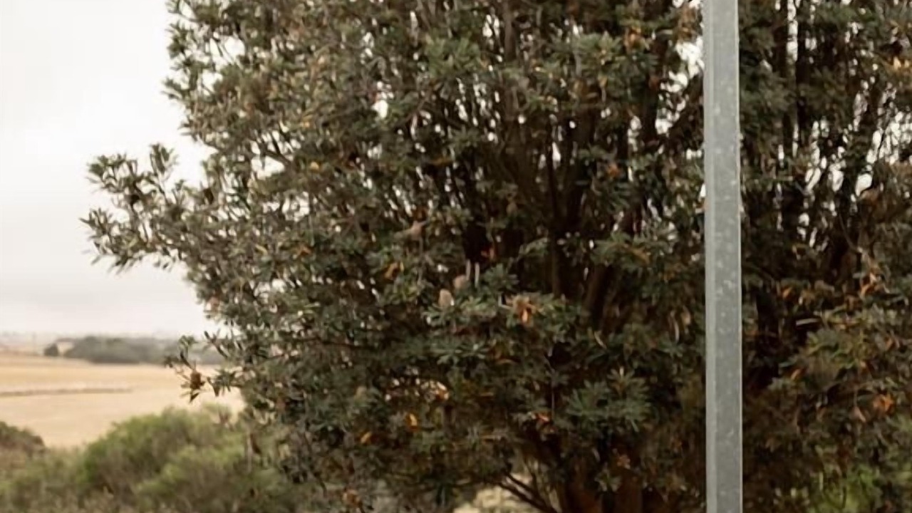 Photo of Outdoor in Kilcunda