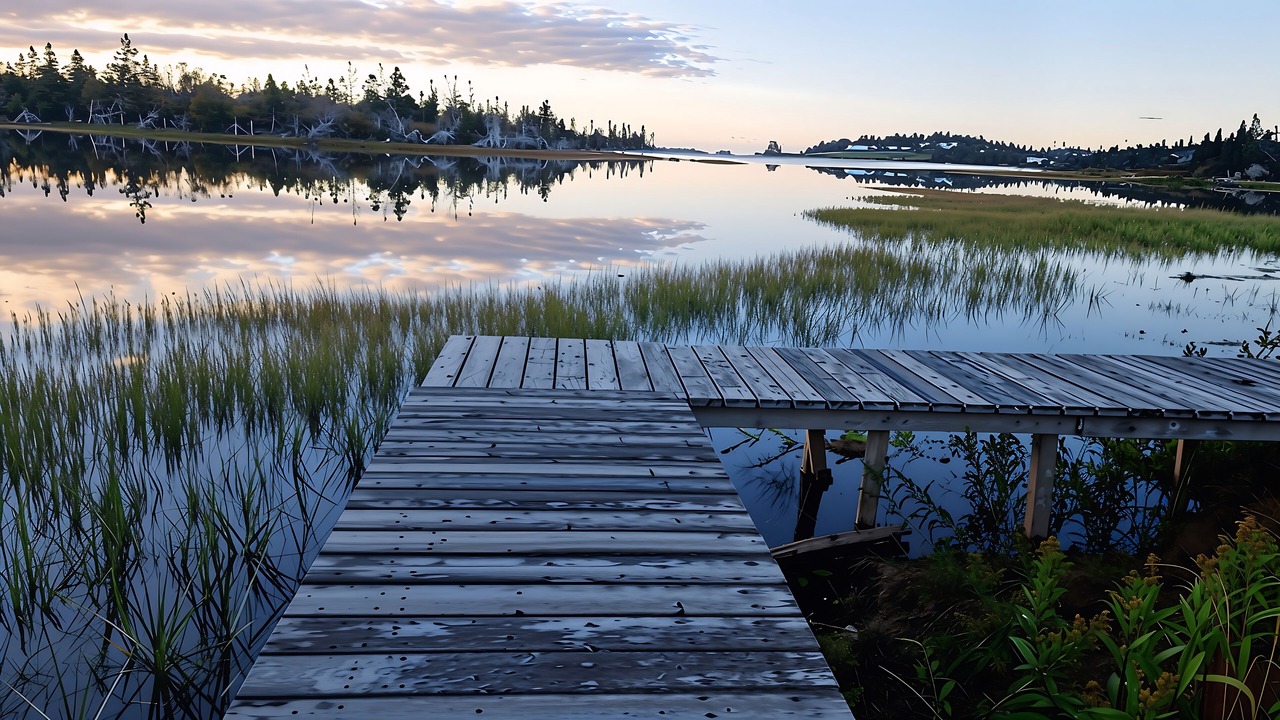 Photo of Others in West Quoddy