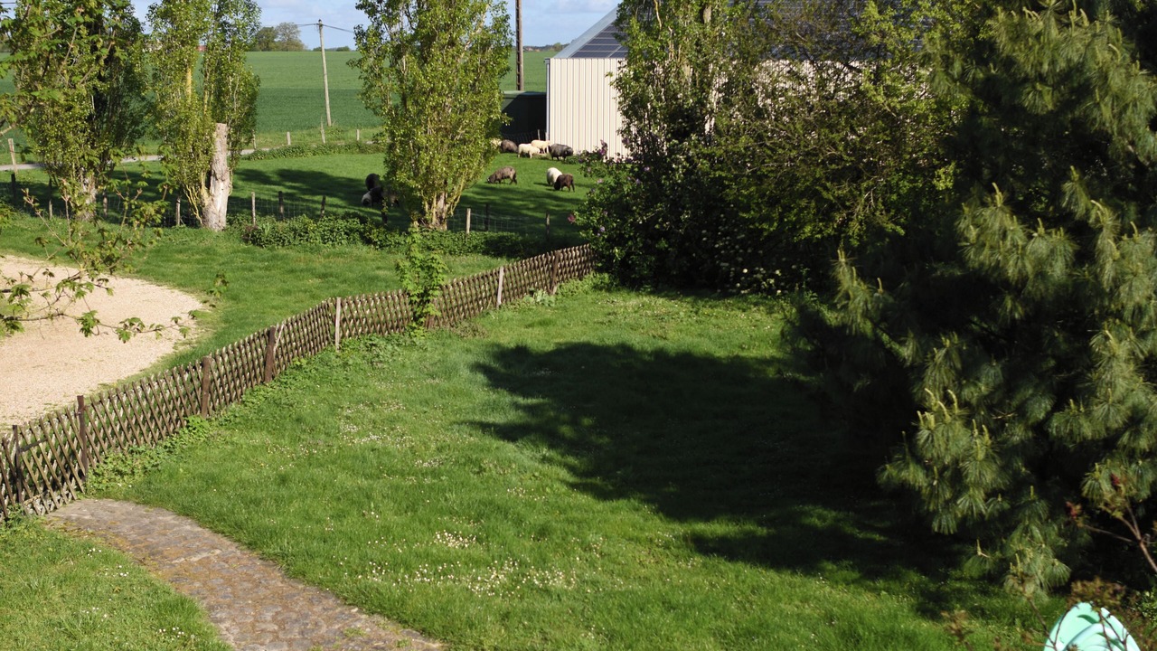 Photo of Outdoor in Mereau