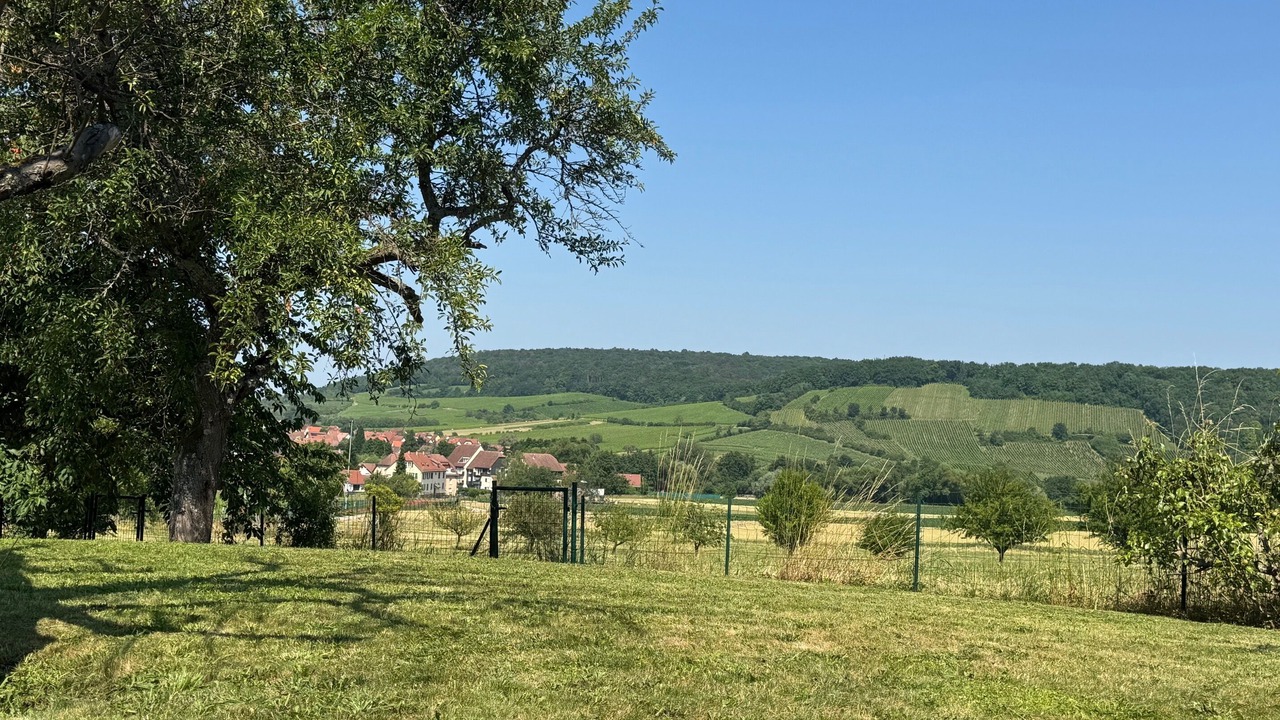 Photo of Others in Boersch