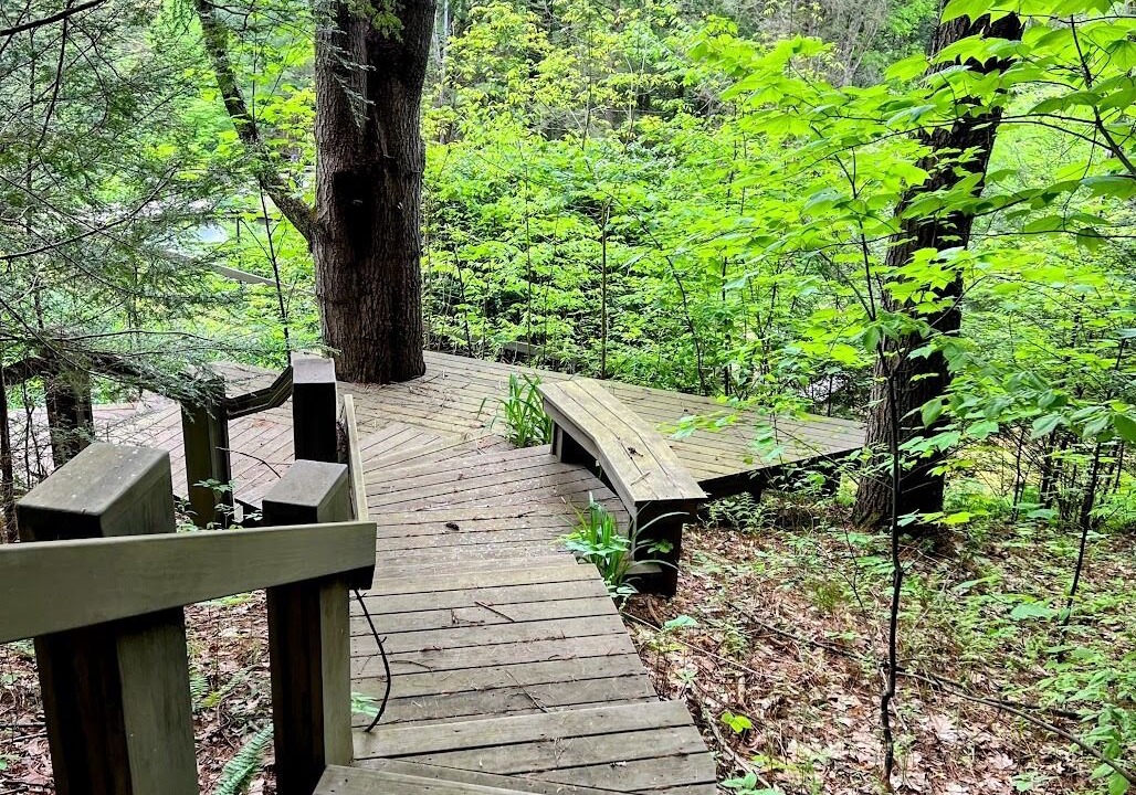 Photo of Outdoor in Downsville