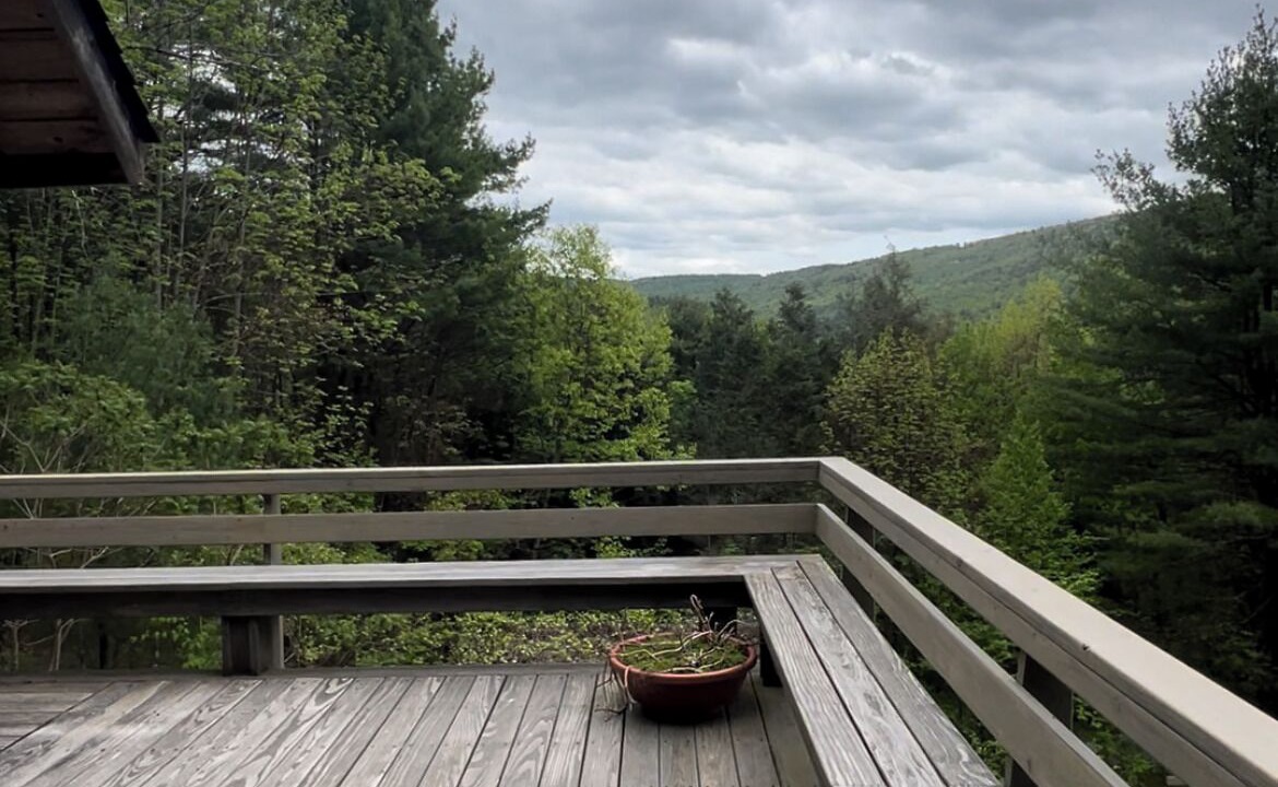 Photo of Patio Balcony in Downsville
