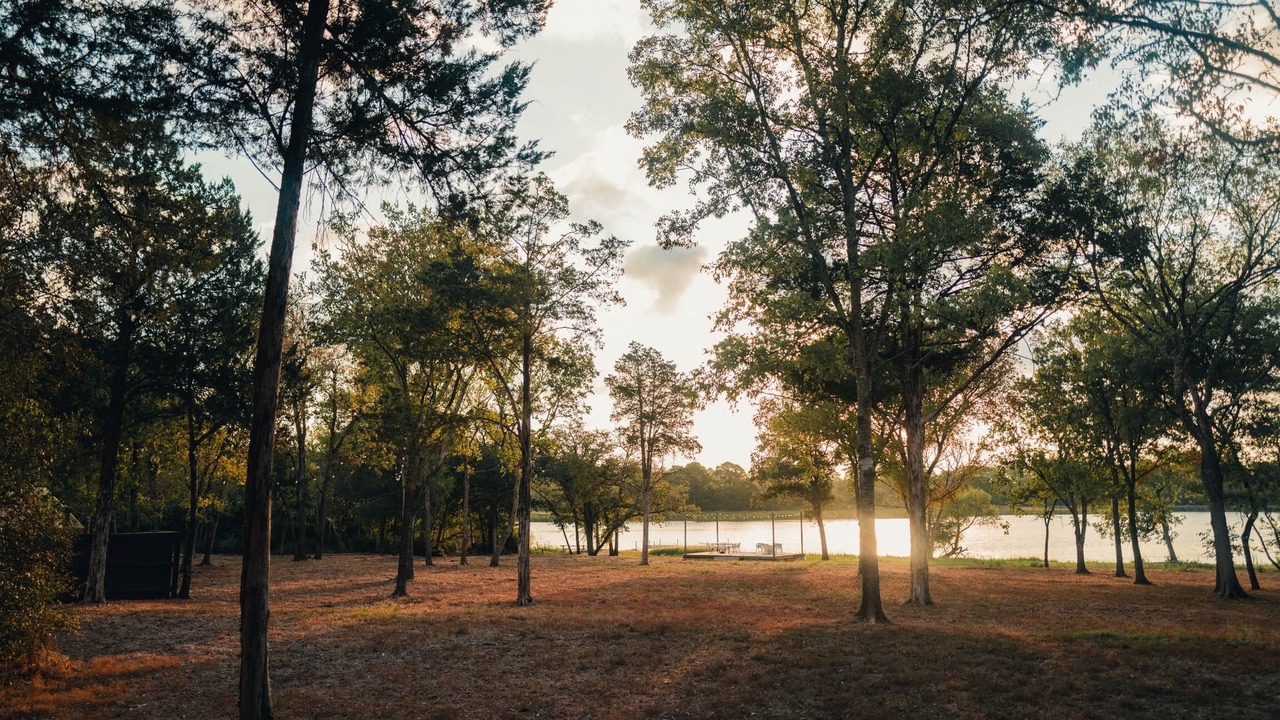 Photo of Others in Bastrop