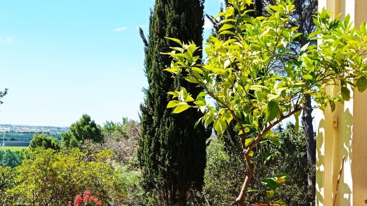 Photo of Outdoor in Maraussan