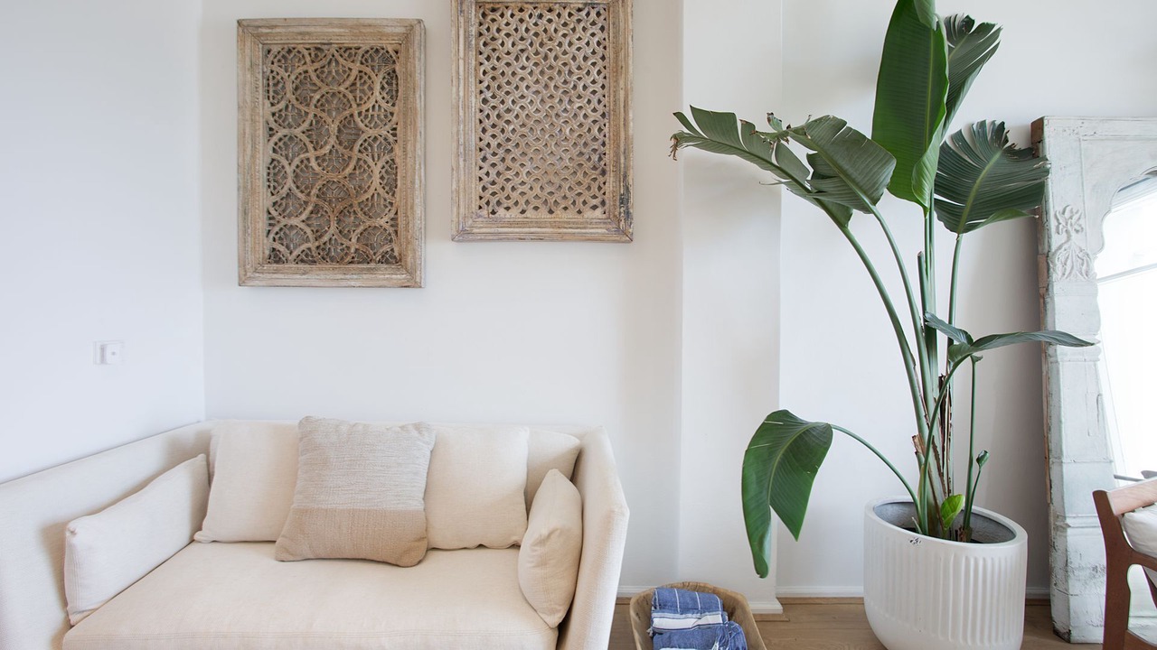 Photo of Livingroom in Curl Curl