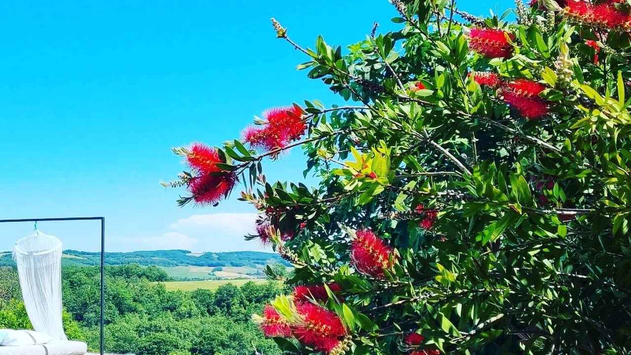 Photo of Outdoor in Vic-Fezensac