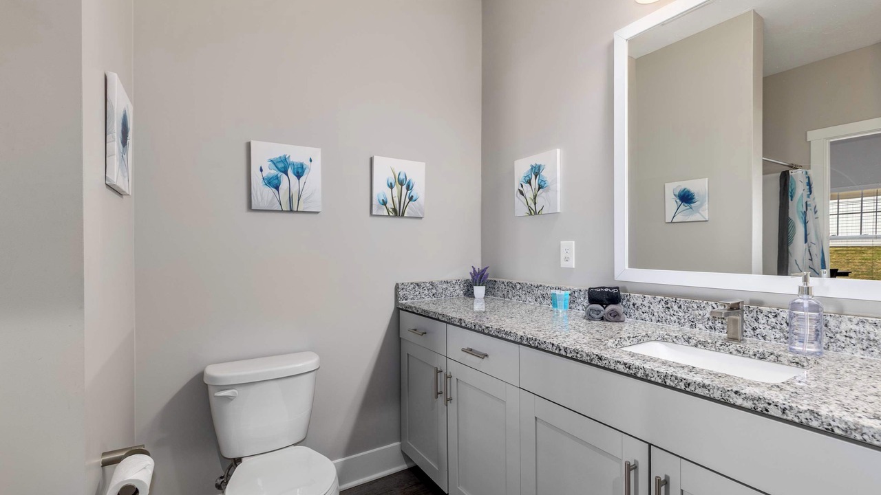 Photo of Bathroom in Grandville