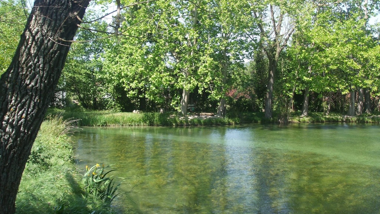 Photo of Others in Serignan-du-Comtat
