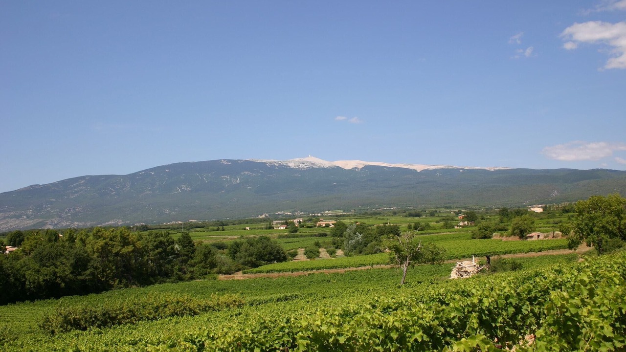 Photo of Others in Serignan-du-Comtat