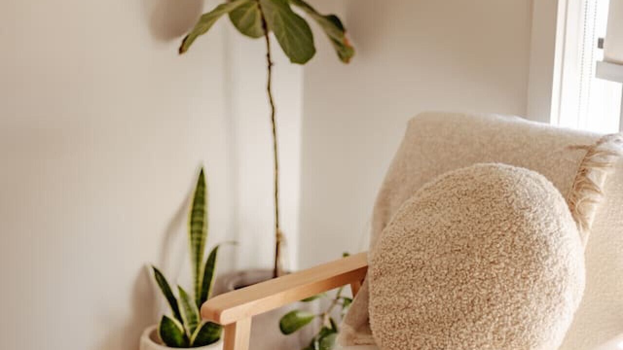 Photo of Others in Nowra