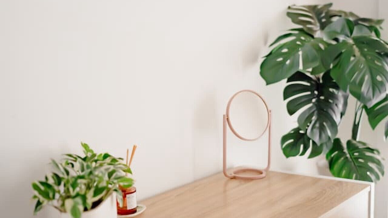 Photo of Others in Nowra