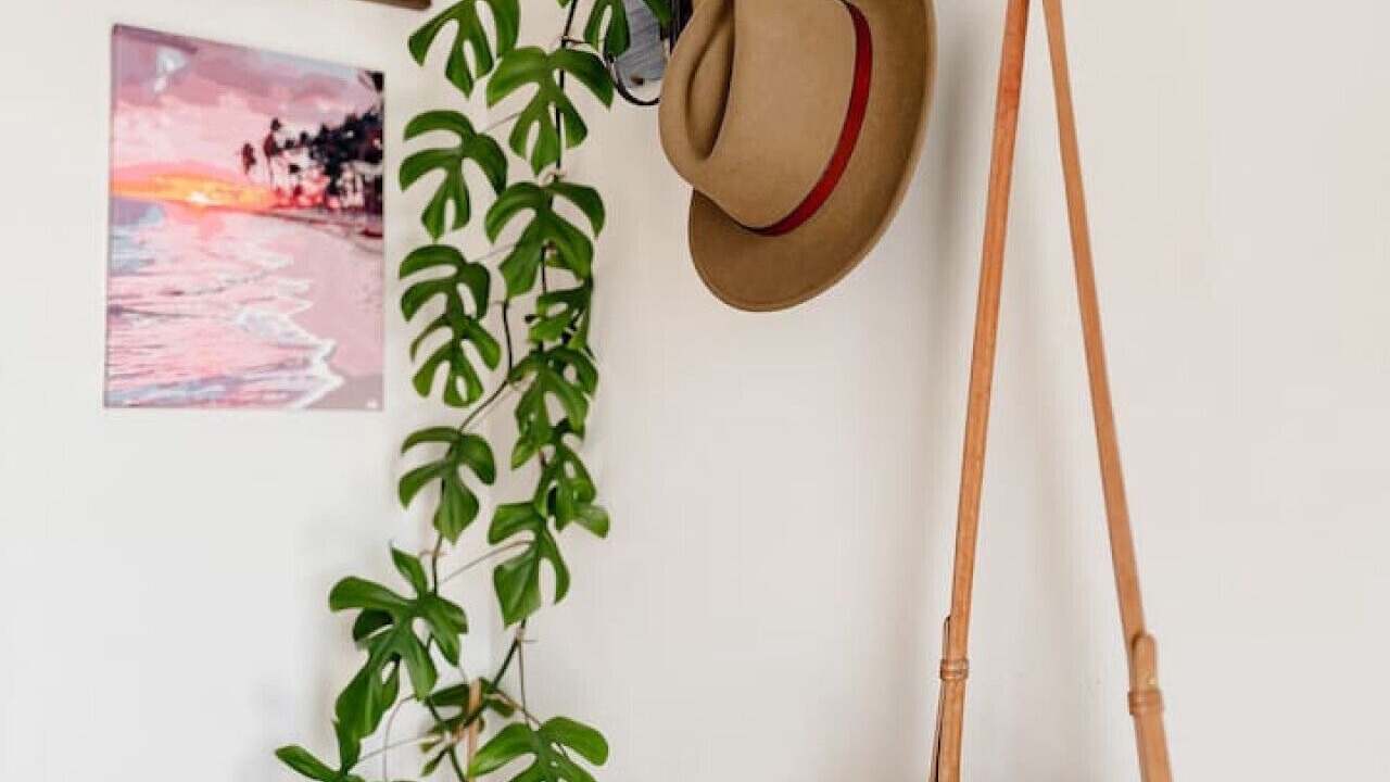 Photo of Others in Nowra