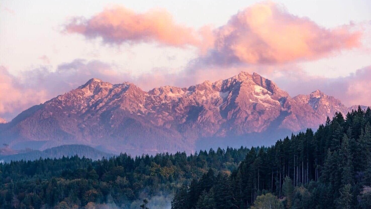 Photo of Others in Union