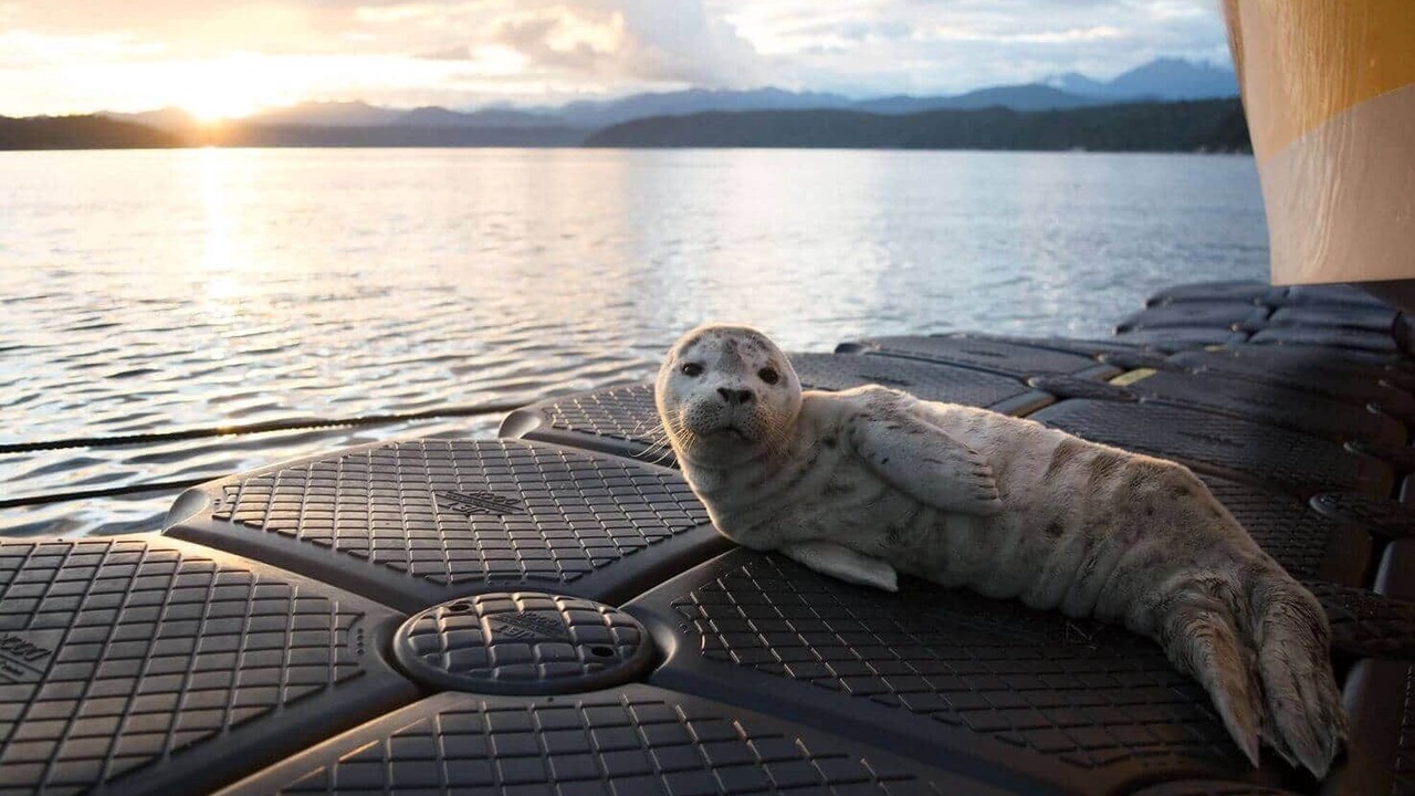 Photo of Others in Union