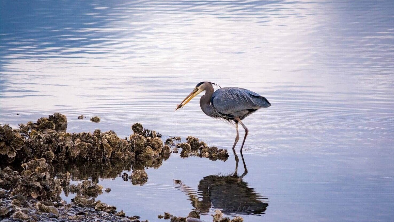 Photo of Others in Union