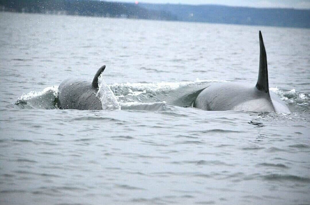 Photo of Others in Union