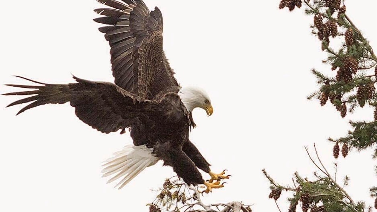 Photo of Others in Union