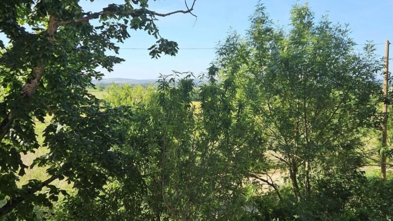 Photo of Others in Labastide-de-Levis