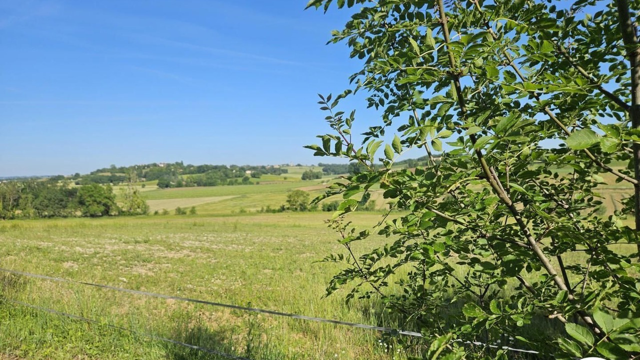 Photo of Others in Labastide-de-Levis
