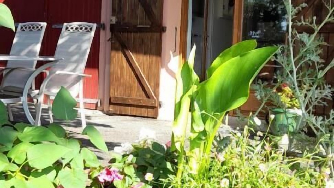 Photo of Outdoor in Labastide-de-Levis