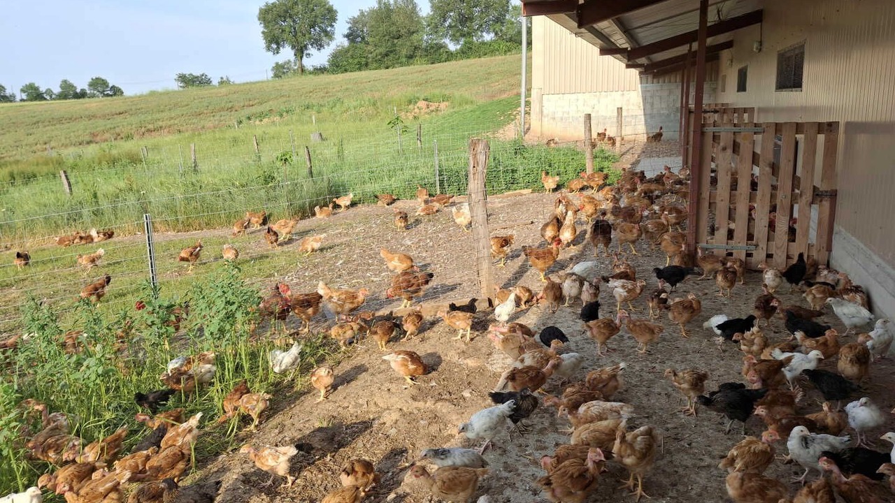 Photo of Others in Sainte-Gemme