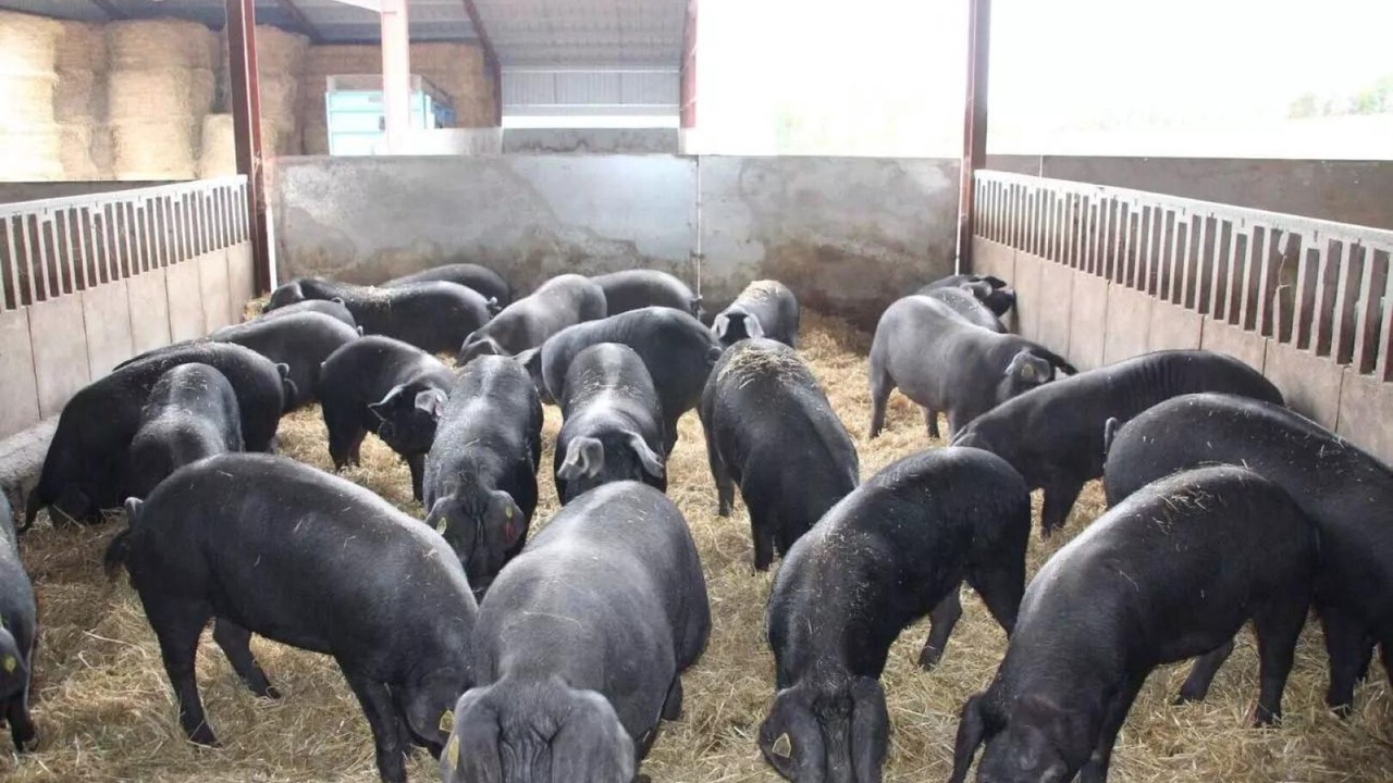 Photo of Others in Sainte-Gemme