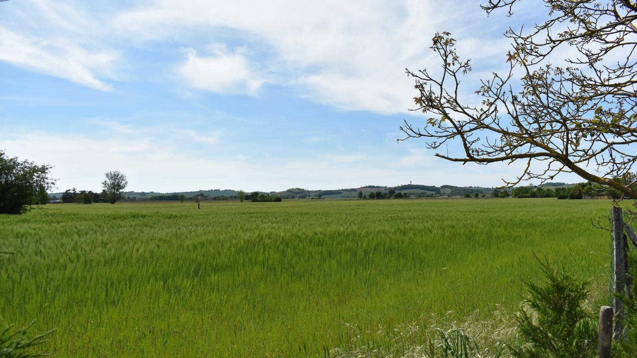 Photo of Others in Lisle-sur-Tarn