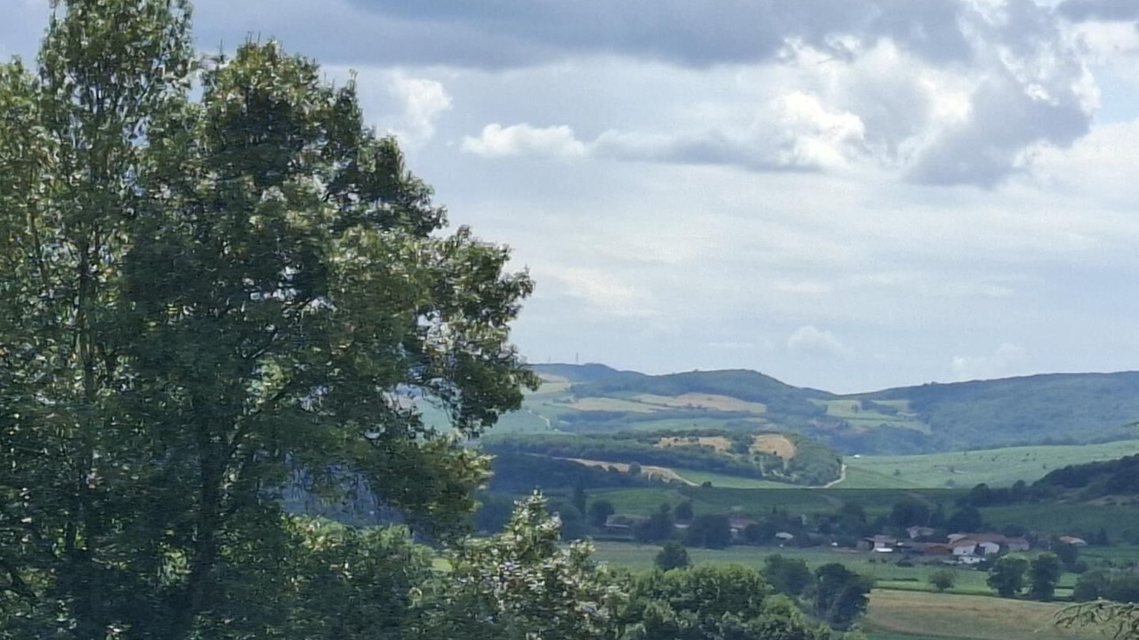 Photo of Others in Peronne