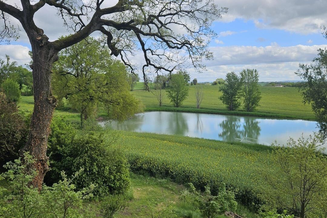 Photo of Others in Rouffiac