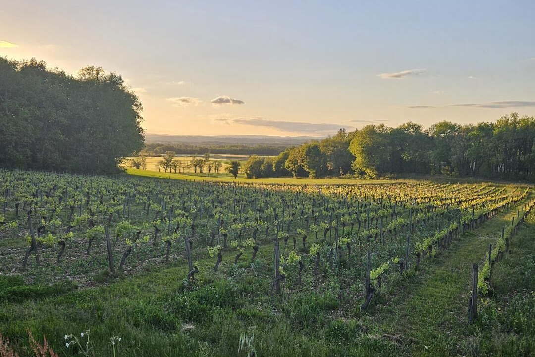 Photo of Others in Rouffiac