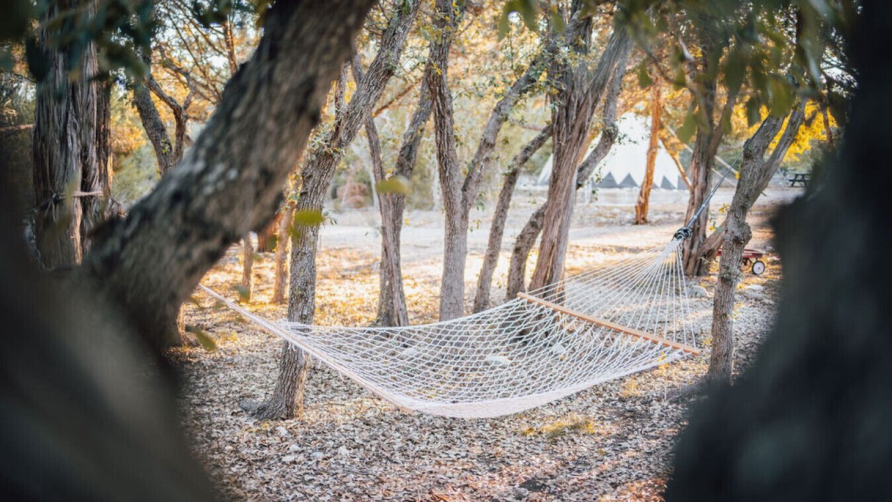 Photo of Outdoor in Driftwood