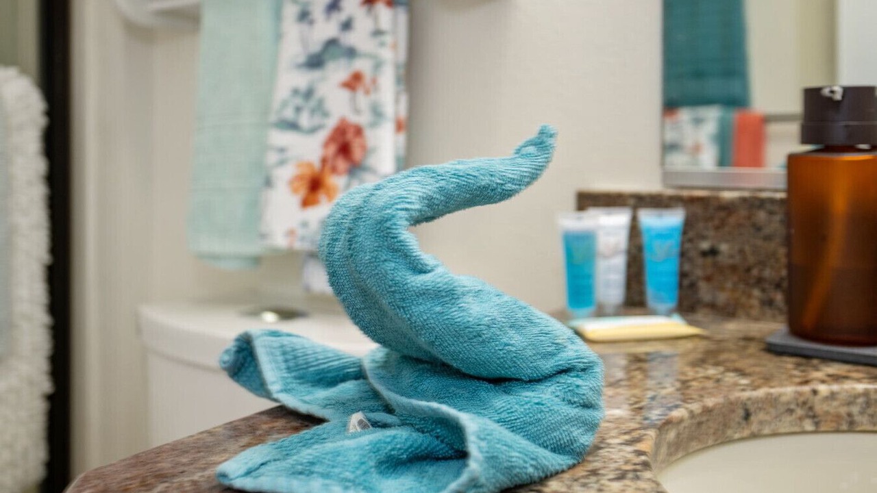 Photo of Bathroom in Piedmont