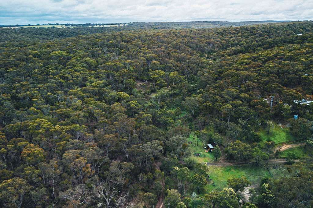 Photo of Outdoor in Steiglitz