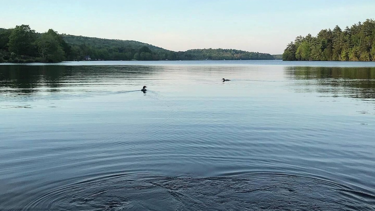 Photo of Others in Montville