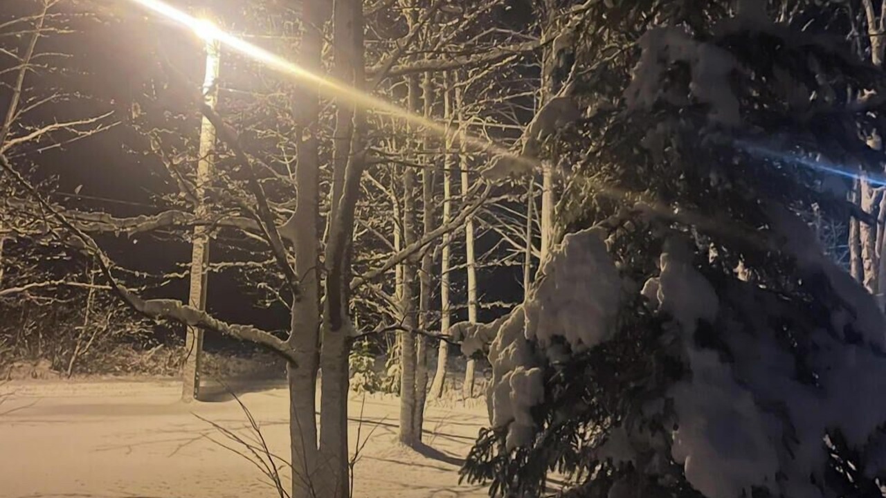 Photo of Others in Gloucester County
