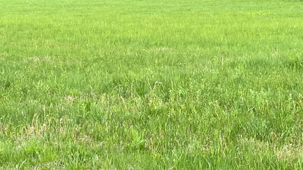 Photo of Others in Franklin